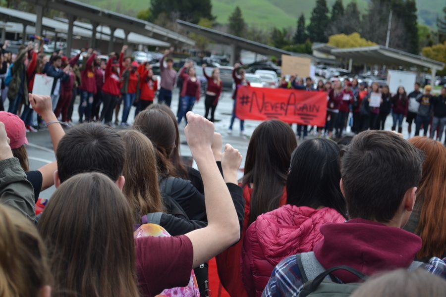 Never again: students stand up to gun violence