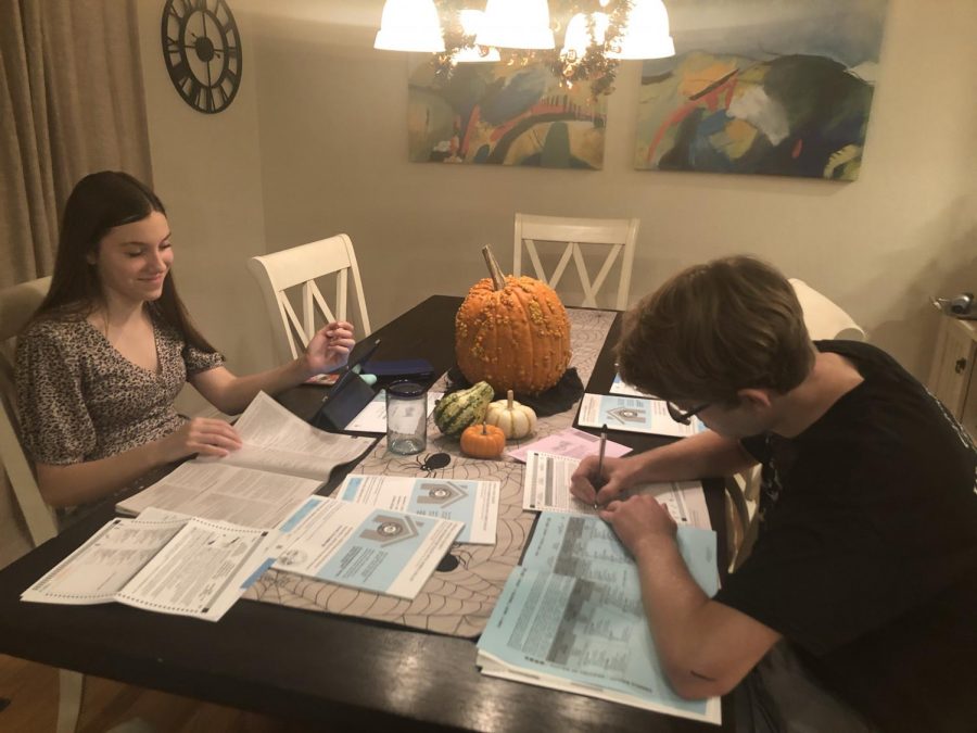 Ella and Shane Johnson, seniors who turned 18 Sept. 16, study election issues and prepare their ballots in October. They plan to deliver them to a Contra Costa County voting drop box.