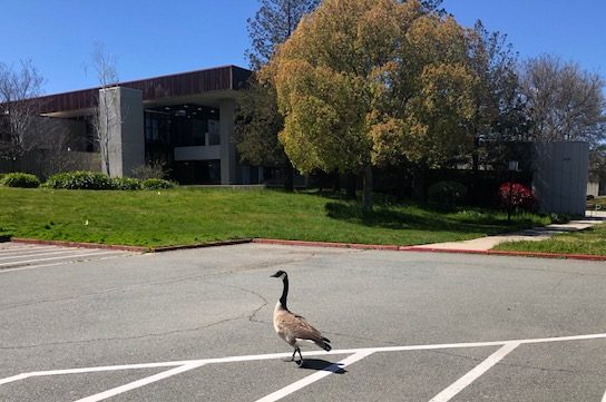 Campus (almost) empties for spring break, March 31 to April 10