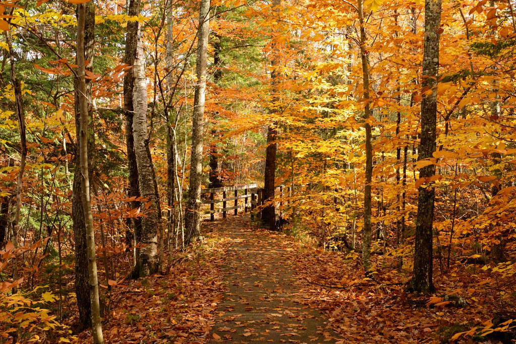 “Going on hikes and to the beach were therapeutic and a great way to clear my mind after a long year,” said senior Naomi Lee, a counselor for fifth graders at Bancroft Elementary in March.. 
